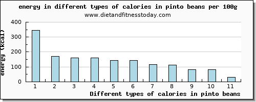 calories in pinto beans energy per 100g